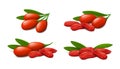 Fresh and dried goji berries with leaves on white background.